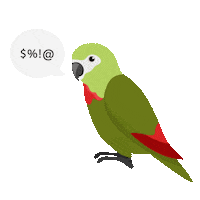 heathergracestewart cheeky parrot fml macaw Sticker