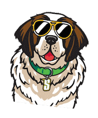 Happy Siena Saints Sticker by Siena College