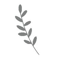 Leaf Natuur Sticker by The_Taxifurmist