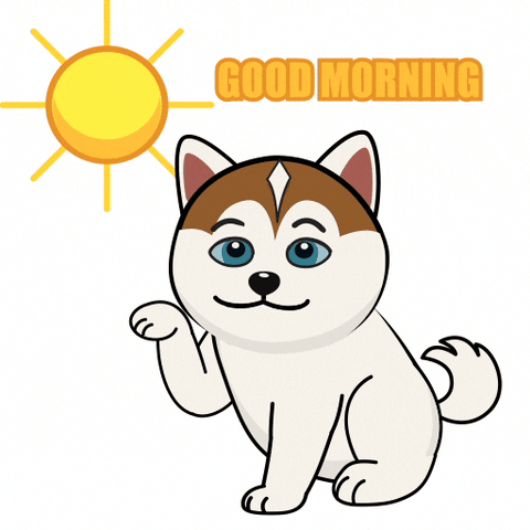 Happy Good Morning GIF by JPedicini