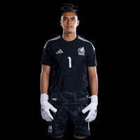 Fifa World Cup Mexico GIF by Respective