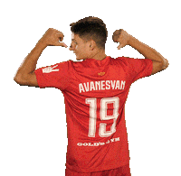 Pyunik football soccer armenia yerevan Sticker