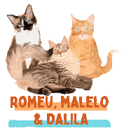 Cat Sticker by Romeu, Malelo & Dalila