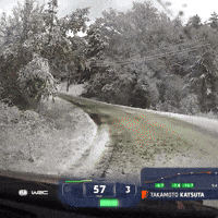 Snow Ice GIF by FIA World Rally Championship