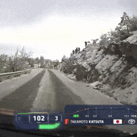 Snow Ice GIF by FIA World Rally Championship