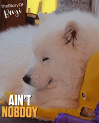 Sleep Relaxing GIF