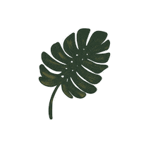 Plant Sticker