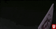 College Sports Sport GIF by Indiana Hoosiers