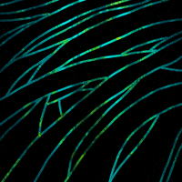 littlekingdoms green ocean sea gif art GIF