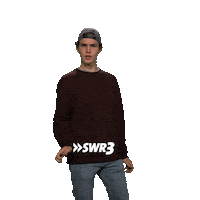 Well Done Lol Sticker by SWR3