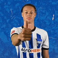 Sport Ok GIF by Hertha BSC