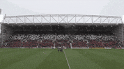 flag scotland GIF by Heart of Midlothian