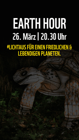 Glowing Earth Hour GIF by WWF Deutschland