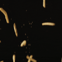 hungry french fries GIF by Bowlero