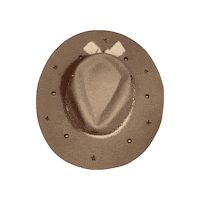 Cowboy Hat Sticker by Kamar Hats