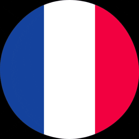 VoiceCrafters giphygifmaker flag france french GIF