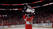 Stanley Cup Playoffs Win GIF by NHL