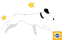 Love Dogs Dog Sticker by PEDIGREE US