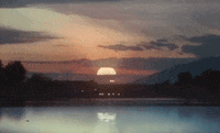 Motorbike GIF by Leon Bridges