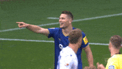 Kiel Ahoi GIF by Holstein Kiel