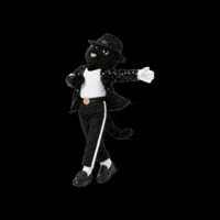 Cat Mj GIF by comfortseoul