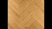 Vloer GIF by Adam Brown