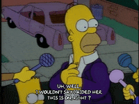 Season 1 Episode 13 GIF by The Simpsons