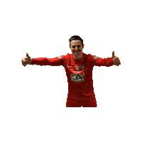 Happy Kevin Martin Sticker by UCS COSNE FOOTBALL