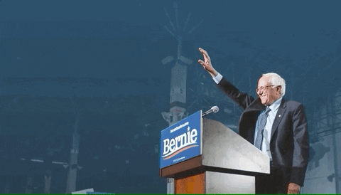 Feel The Bern Bernie 2020 GIF by Bernie Sanders