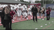 LafayetteLeopards football running lafayette leopards GIF