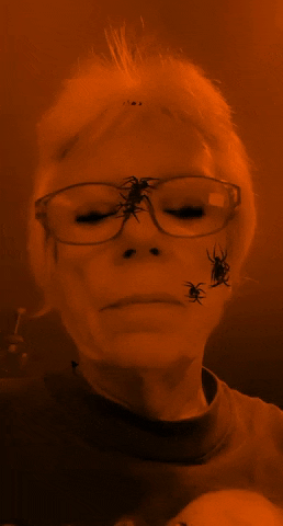 annerolfe giphygifmaker snapchat spiders GIF
