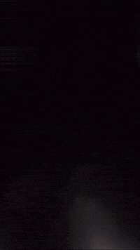 Harbour Seal GIF by Valley Zoo Development Society