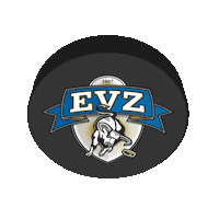 ice hockey Sticker by EVZ