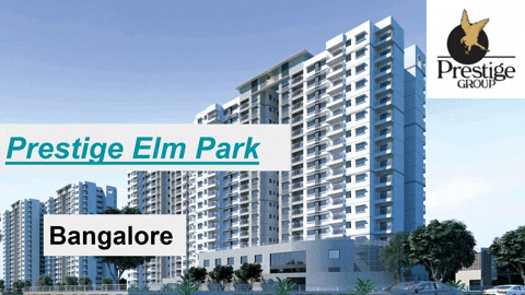 Prestigeelmparkinblore giphyupload GIF