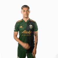 Portland Timbers Soccer GIF by Timbers