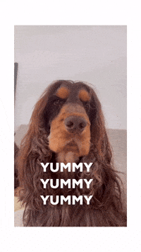 Yummy Yummy Cute Puppy GIF