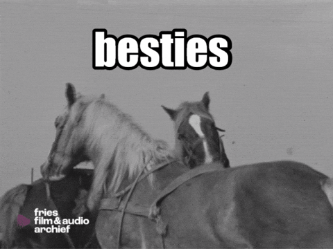 Best Friends Bff GIF by Fries Film & Audio Archief