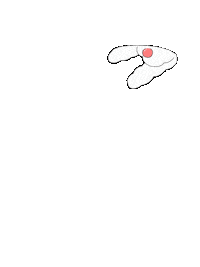 삼성폰꾸 Sticker by Samsung Korea