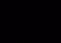 NeriNeriDaily sunny 100t sunnys arky GIF