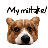 Sorry Corgi Sticker