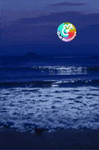 Amigos Playa GIF by Murcianys LLC
