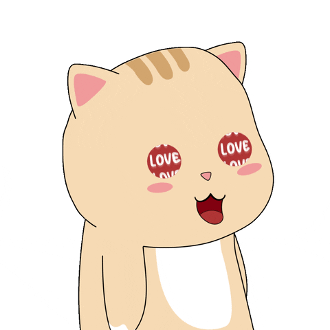 GIF by Chubbiverse