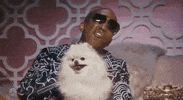 dog snl GIF by Saturday Night Live