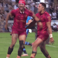 Celebrating South Africa GIF by Sharks Rugby