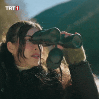 Looking Deniz Baysal GIF by TRT