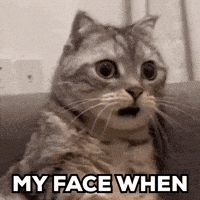 Cat My Face When GIF