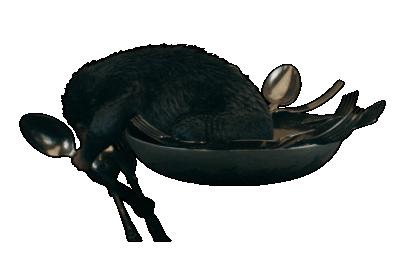 fantasticbeastsjapan giphyupload ファンタスティックビースト ファンタビ 魔法動物 Sticker