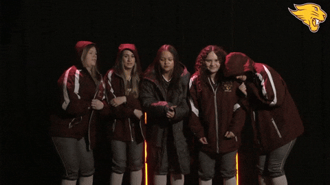 Softball GIF by CUCougars