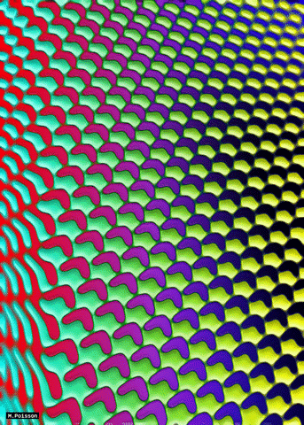 art geometry GIF by Michel Poisson