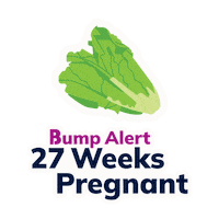 thebumpofficial pregnant pregnancy babybump babysize Sticker